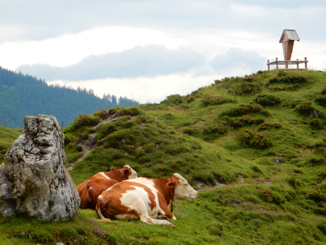 Hochkönig Berchtesgadener Alpen