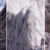 Königsjodler na Hochkönig Königsjodler na Hochkönig