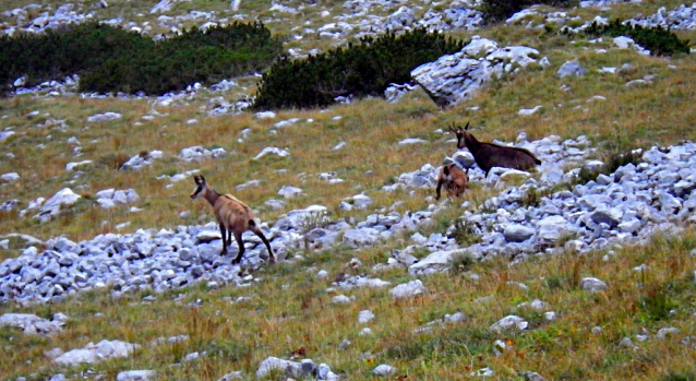 Hiking in the Styrian region Hochsteiermark, Austria