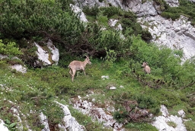 Triglav - nejvýš ve Slovinsku