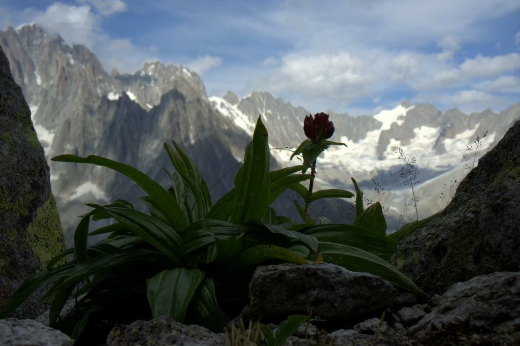 Envers des Aiguilles. 