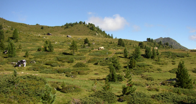 Knedlíkové hory Nockberge