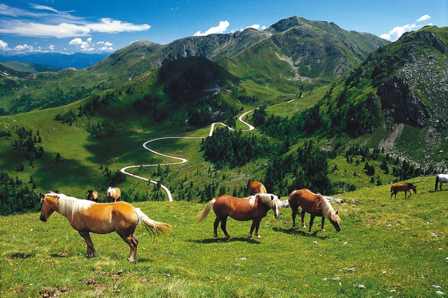 Knedlíkové hory Nockberge