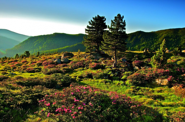 Turistický region Nockberge