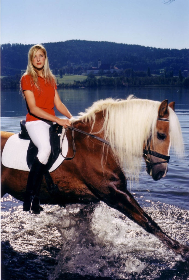 Knedlíkové hory Nockberge