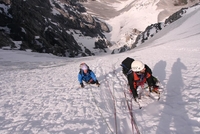 Ortler (Ortles) North Face Climbing Ortler (Ortles) North Face Climbing