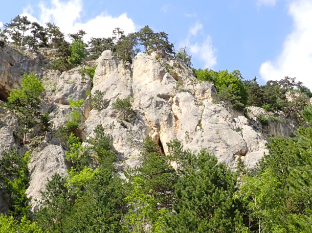 Teufelsgrat: na Hohe Wand kozoroh hlídá teritorium