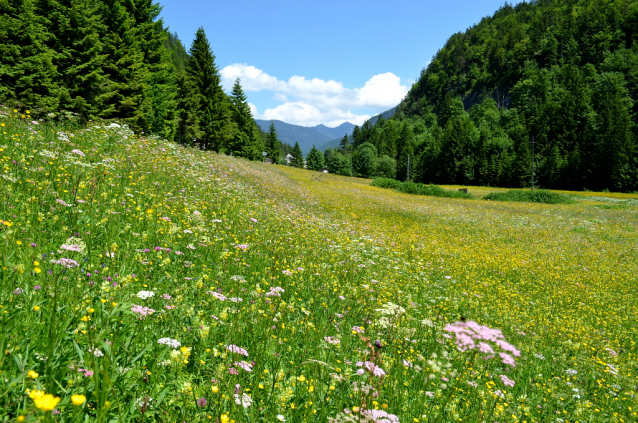 Reutte: alpská brána do Tyrol