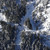 Český skialpinista zahynul pod rakouskou lavinou na Ankogelu