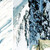 Pallavicini patří do horolezecké maturity Pallavicini patří do horolezecké maturity