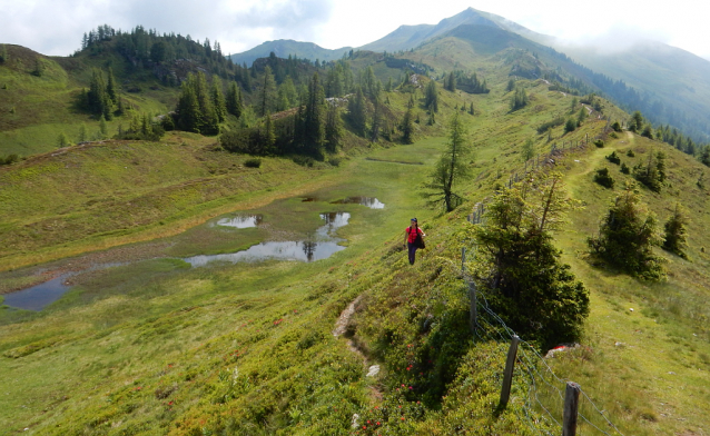 Salcburská salašnická cesta / Salzburger Almenweg