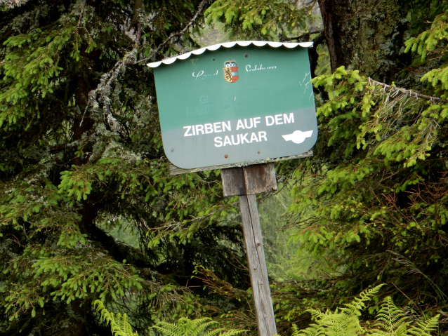 Salcburská salašnická cesta / Salzburger Almenweg