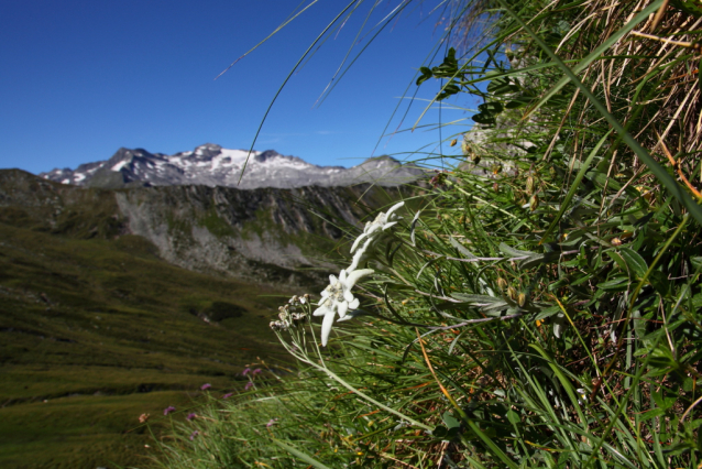 Schödersee, dem einzigen  periodischen See im Nationalpark Hohe Tauern