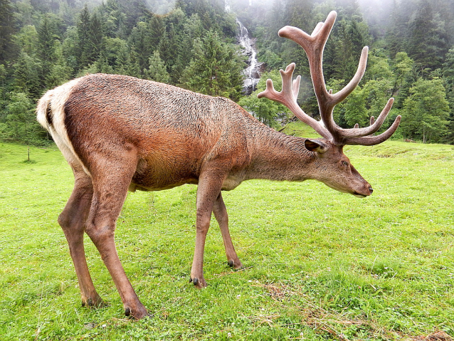 Schödersee, dem einzigen  periodischen See im Nationalpark Hohe Tauern