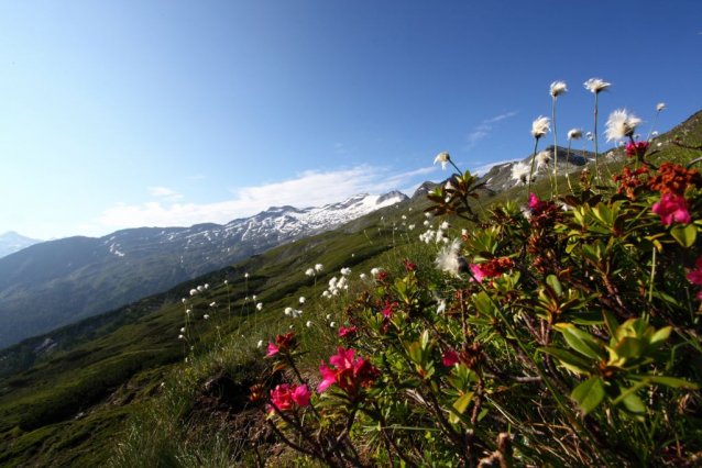 What is Alpine Summer in SalzburgerLand?