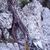 Velmi lámavý Spitzmauer Velmi lámavý Spitzmauer