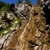 Velmi lámavý Spitzmauer Velmi lámavý Spitzmauer