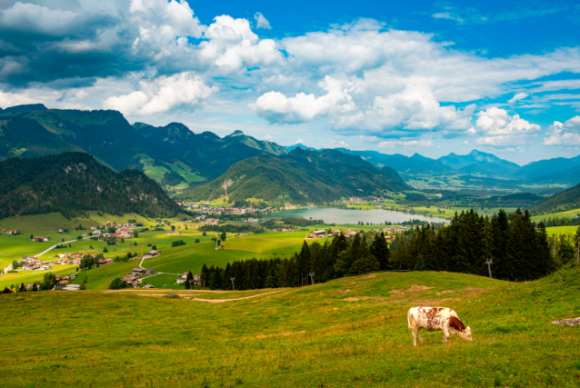 Schwemm - největší vřesoviště severního Tyrolska ve Walchsee