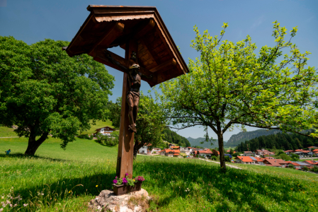 Schwemm - největší vřesoviště severního Tyrolska ve Walchsee