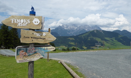 Letní permanentka na lanovky v Kitzbühelu