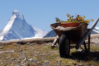 Kudy na Matterhorn?