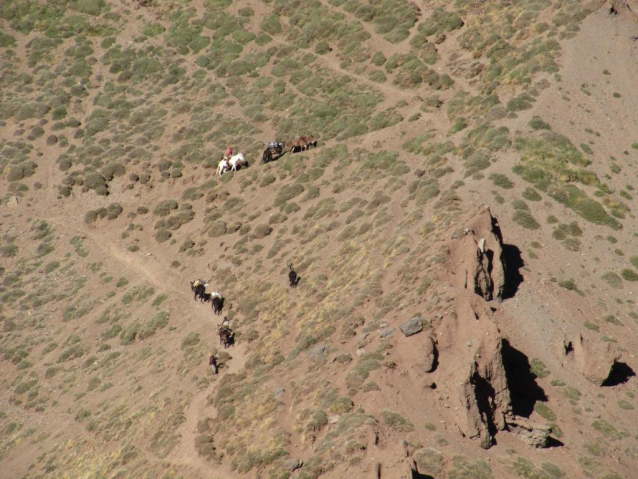 Zlá dáma Aconcagua