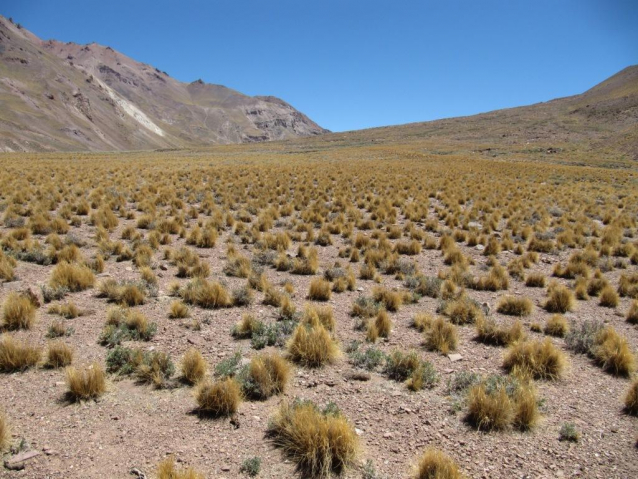 Zlá dáma Aconcagua