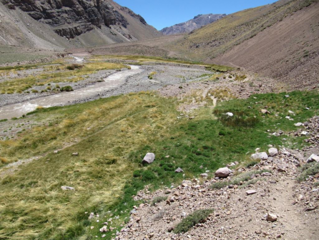 Zlá dáma Aconcagua