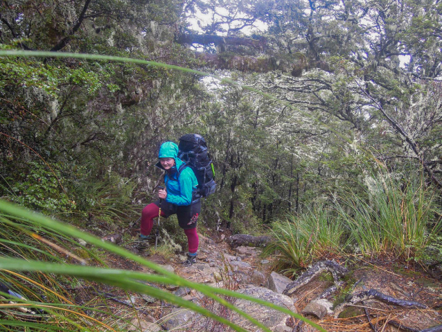 Mount Brewster: Chuť vysokohorské turistiky na Novém Zélandu