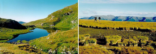 Hřebenem Fagarášských hor