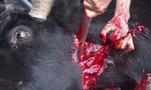 Libor Uher vylezl na všechny karakoramské osmitisícovky Libor Uher vylezl na všechny karakoramské osmitisícovky