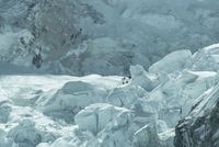 Top 5 tibetské cestovní kanceláře Top 5 tibetské cestovní kanceláře