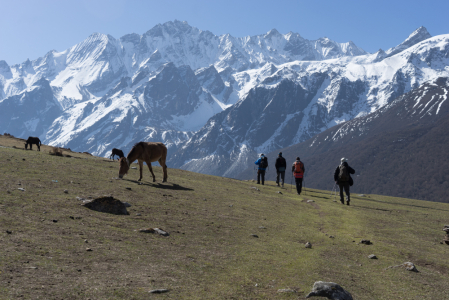 Where I have to go for Nepal Treks?