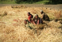 International Mountain Day 2014 International Mountain Day 2014