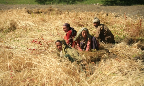 International Mountain Day 2014 International Mountain Day 2014