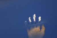 Alex Luczy na podzim a v zimě Alex Luczy na podzim a v zimě