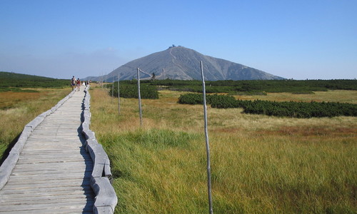 Sněžka (1603 m), nejvyšší česká hora