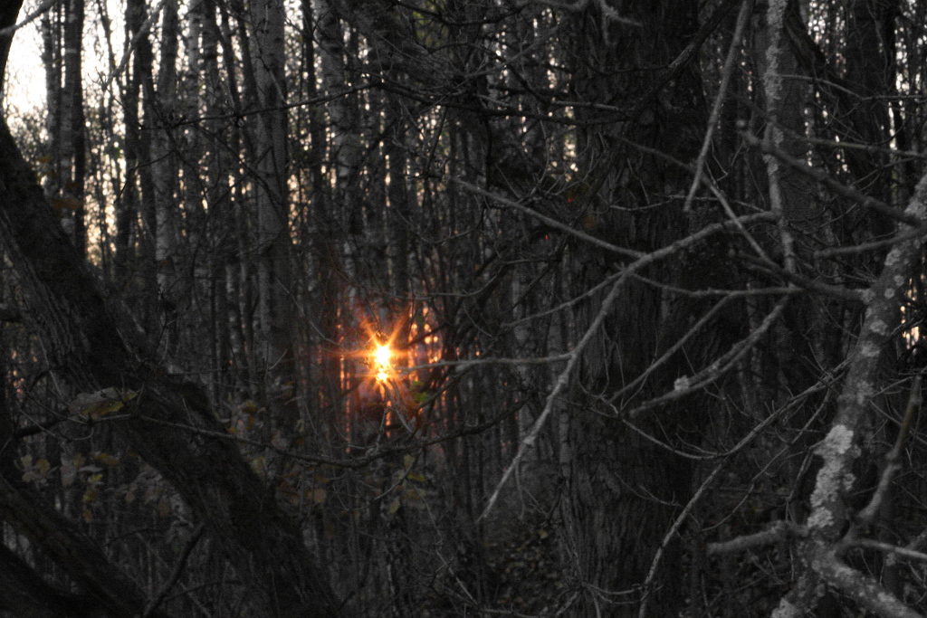 Podzimní slunce zapadá do lesů pod Ještědem.