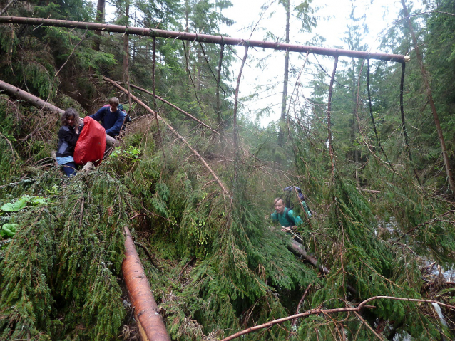 Školní výlet: Chočské vrchy a Malá Fatra