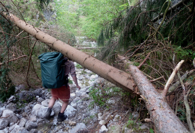 Školní výlet: Chočské vrchy a Malá Fatra