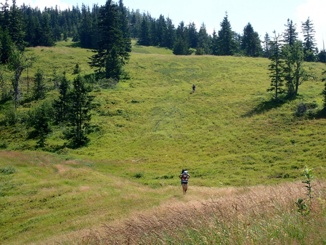 Kráľova hoľa, východní Nízké Tatry