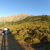 Korsická prasata v Col de Vergio Korsická prasata v Col de Vergio