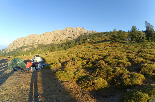 Korsická prasata v Col de Vergio