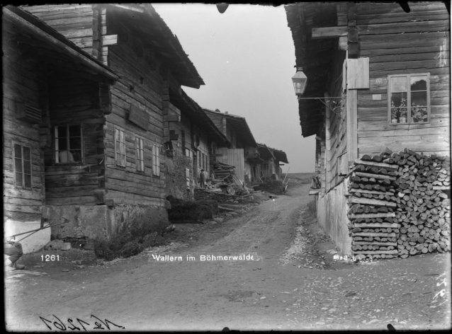 Mysterium Šumava v Českém Krumlově