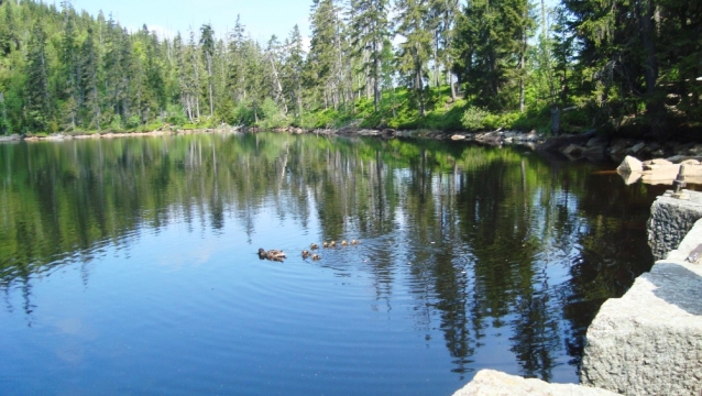 Šumavské jezero Laka a Prášilské jezero