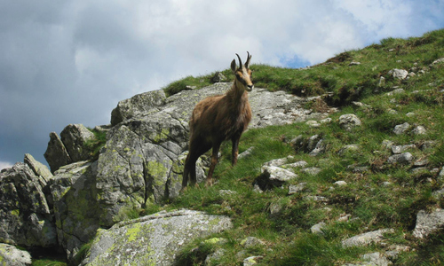 Kopské sedlo odděluje Vysoké Tatry a Belianské Tatry Kopské sedlo odděluje Vysoké Tatry a Belianské Tatry