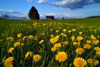 Vysoké Tatry AKTUÁLNĚ 2025 Vysoké Tatry AKTUÁLNĚ 2025