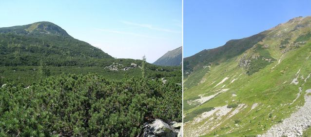 Baníkov (2178 m) - milé turistické setkání