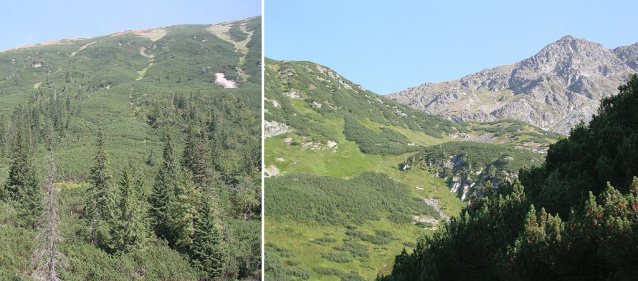 Západní Tatry: Roháče, Liptovské hole a Červené vrchy