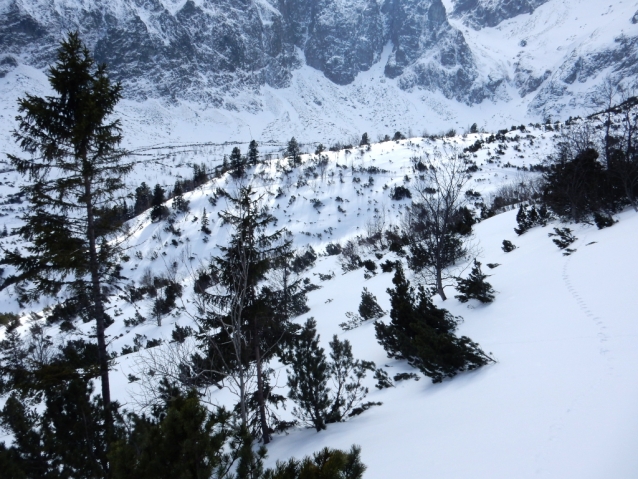 Sjezd z Brnčalky na lyžích